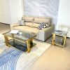 Golden Stainless Steel Double-Layer Black Tempered Glass Coffee Table Set for Bed Room, Living Room