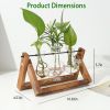 mothers day gifts-Desktop Glass Planter Bulb Plant Terrarium with Wooden Stand